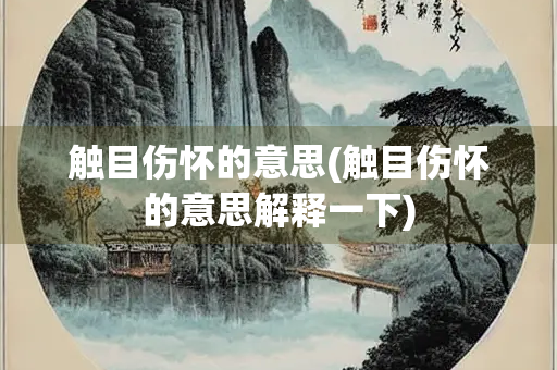 触目伤怀的意思(触目伤怀的意思解释一下)