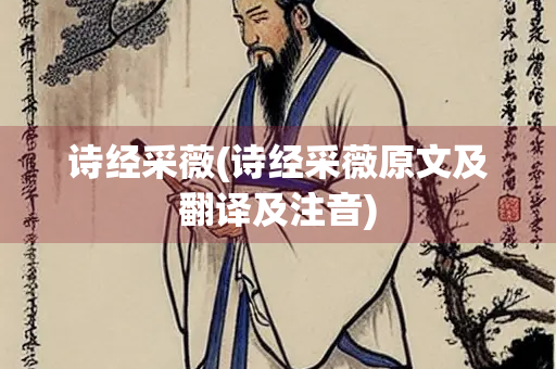 诗经采薇(诗经采薇原文及翻译及注音)