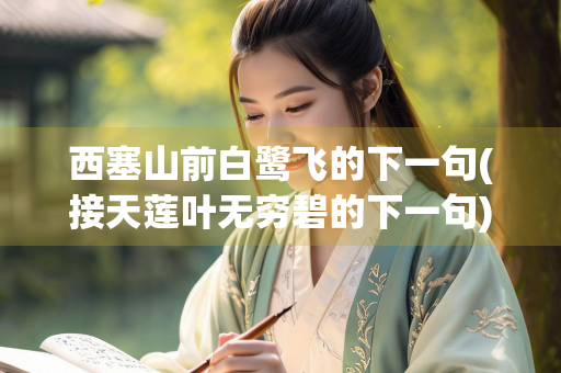 西塞山前白鹭飞的下一句(接天莲叶无穷碧的下一句)