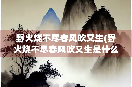 野火烧不尽春风吹又生(野火烧不尽春风吹又生是什么植物)