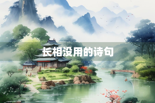 长相没用的诗句