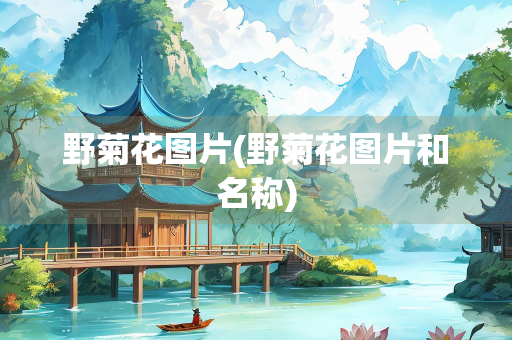 野菊花图片(野菊花图片和名称)