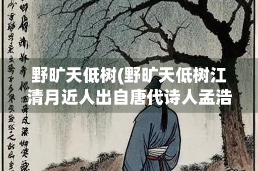 野旷天低树(野旷天低树江清月近人出自唐代诗人孟浩然的)