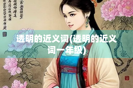 透明的近义词(透明的近义词一年级)
