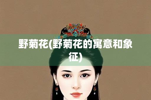 野菊花(野菊花的寓意和象征)