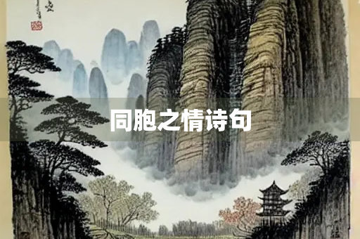 同胞之情诗句