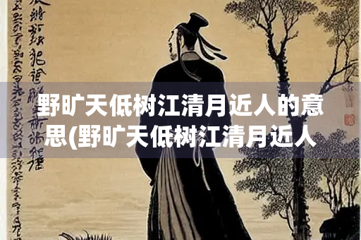 野旷天低树江清月近人的意思(野旷天低树江清月近人的意思越短越好)