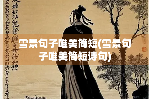 雪景句子唯美简短(雪景句子唯美简短诗句)