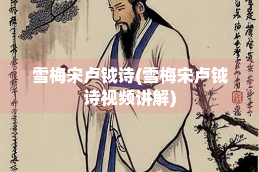 雪梅宋卢钺诗(雪梅宋卢钺诗视频讲解)