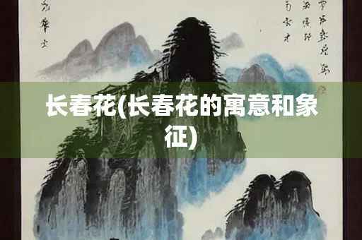 长春花(长春花的寓意和象征)