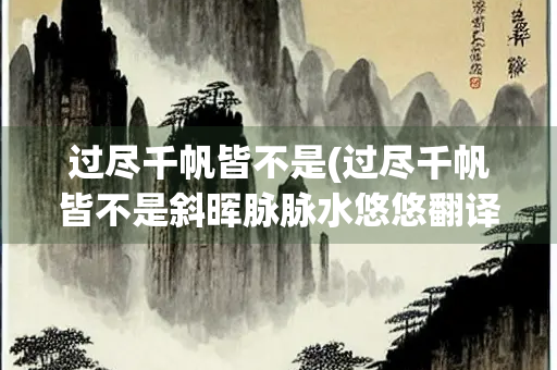 过尽千帆皆不是(过尽千帆皆不是斜晖脉脉水悠悠翻译)