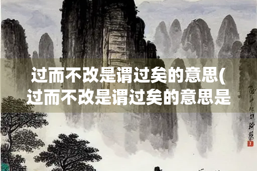 过而不改是谓过矣的意思(过而不改是谓过矣的意思是)