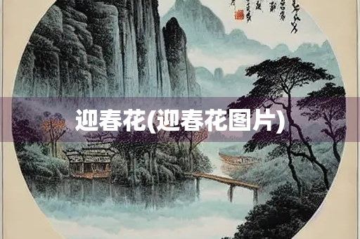 迎春花(迎春花图片)