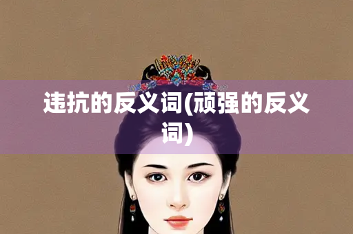 违抗的反义词(顽强的反义词)