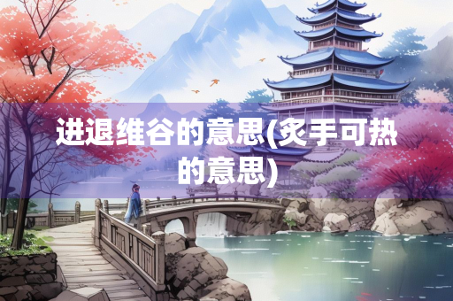 进退维谷的意思(炙手可热的意思)