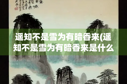 遥知不是雪为有暗香来(遥知不是雪为有暗香来是什么花)