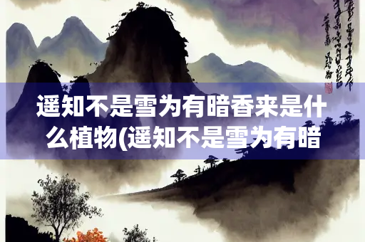 遥知不是雪为有暗香来是什么植物(遥知不是雪为有暗香来是什么植物百戏之祖)