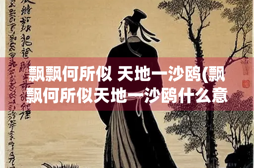 飘飘何所似 天地一沙鸥(飘飘何所似天地一沙鸥什么意思)