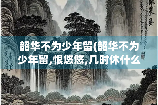 韶华不为少年留(韶华不为少年留,恨悠悠,几时休什么意思)