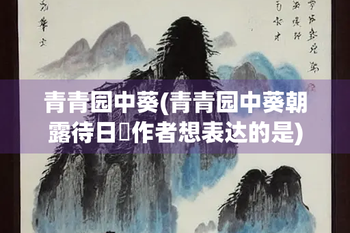 青青园中葵(青青园中葵朝露待日晞作者想表达的是)