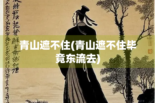 青山遮不住(青山遮不住毕竟东流去)