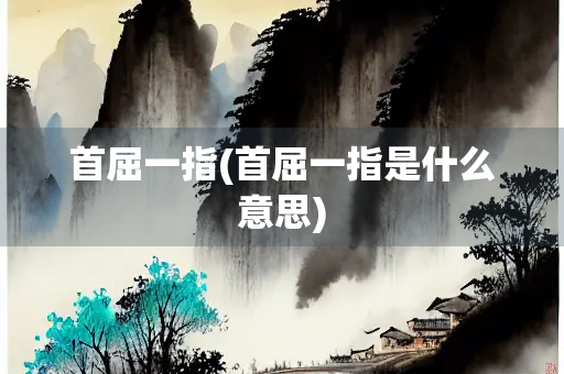 首屈一指(首屈一指是什么意思)