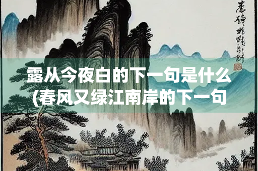 露从今夜白的下一句是什么(春风又绿江南岸的下一句是什么)