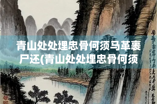青山处处埋忠骨何须马革裹尸还(青山处处埋忠骨何须马革裹尸还作者)