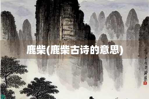 鹿柴(鹿柴古诗的意思)