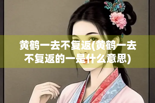 黄鹤一去不复返(黄鹤一去不复返的一是什么意思)