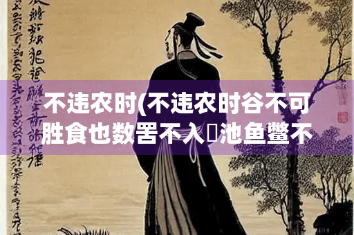 不违农时(不违农时谷不可胜食也数罟不入洿池鱼鳖不可胜食也翻译)