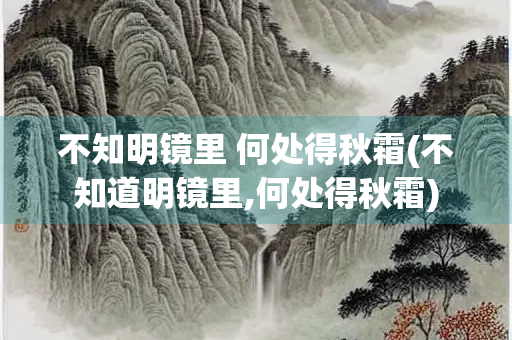 不知明镜里 何处得秋霜(不知道明镜里,何处得秋霜)