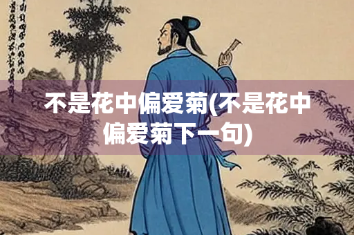 不是花中偏爱菊(不是花中偏爱菊下一句)
