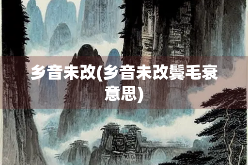 乡音未改(乡音未改鬓毛衰意思)