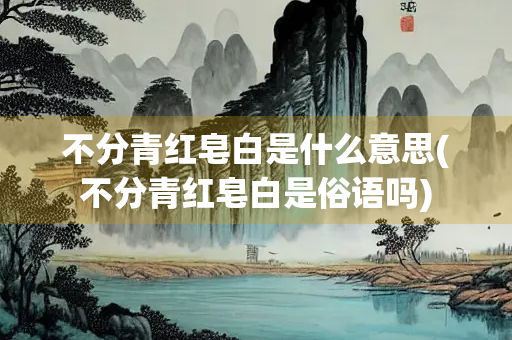 不分青红皂白是什么意思(不分青红皂白是俗语吗)