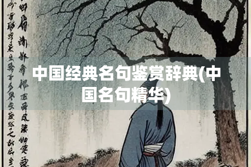 中国经典名句鉴赏辞典(中国名句精华)