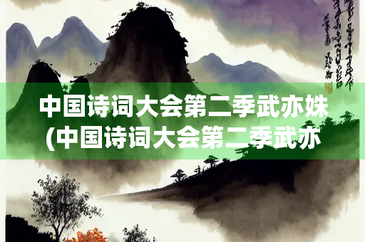中国诗词大会第二季武亦姝(中国诗词大会第二季武亦姝是谁)