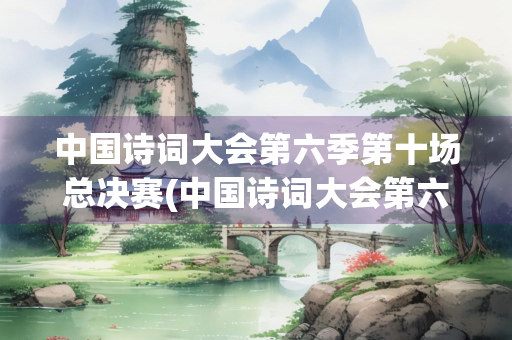 中国诗词大会第六季第十场总决赛(中国诗词大会第六季第十场总决赛完整版)