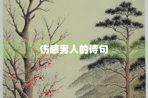 伤感男人的诗句