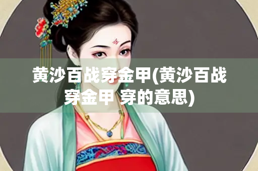 黄沙百战穿金甲(黄沙百战穿金甲 穿的意思)