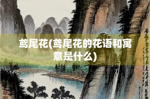 鸢尾花(鸢尾花的花语和寓意是什么)