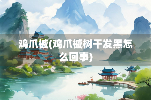 鸡爪槭(鸡爪槭树干发黑怎么回事) 鸡爪槭(鸡爪槭树干发黑怎么回事)