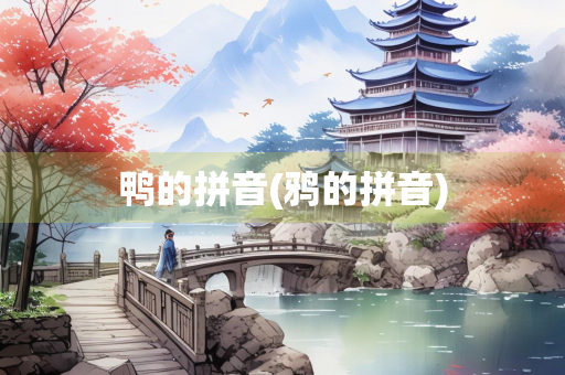 鸭的拼音(鸦的拼音)