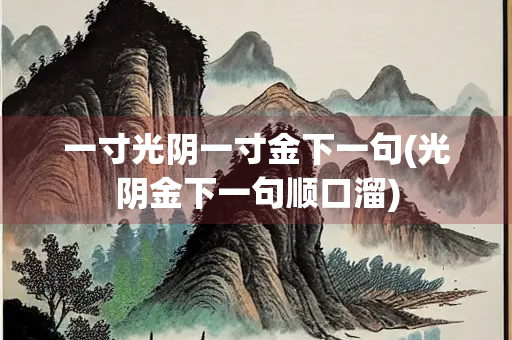 一寸光阴一寸金下一句(光阴金下一句顺口溜)