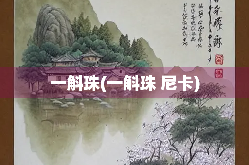 一斛珠(一斛珠 尼卡)