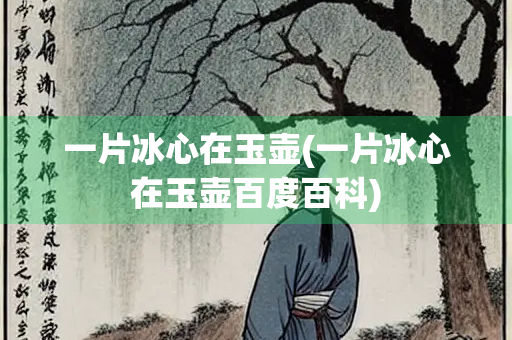 一片冰心在玉壶(一片冰心在玉壶百度百科)