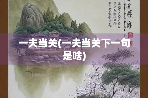 一夫当关(一夫当关下一句是啥)