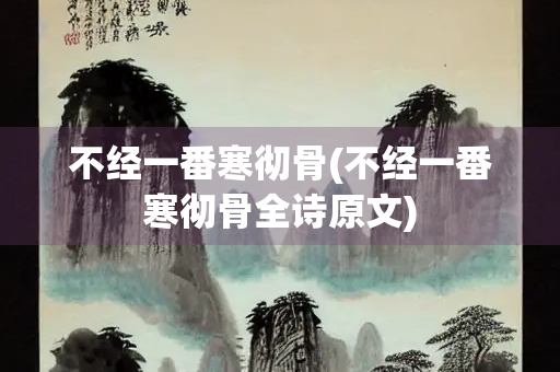 不经一番寒彻骨(不经一番寒彻骨全诗原文)