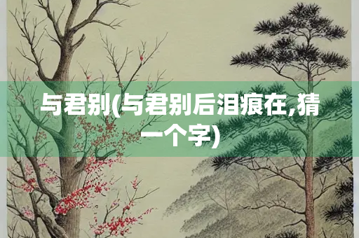 与君别(与君别后泪痕在,猜一个字)