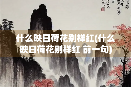 什么映日荷花别样红(什么映日荷花别样红 前一句)
